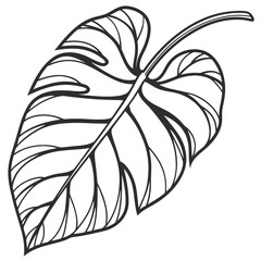 Bold Sunflower Graphic