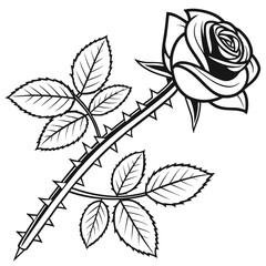  Edgy Geometric Rose Pop