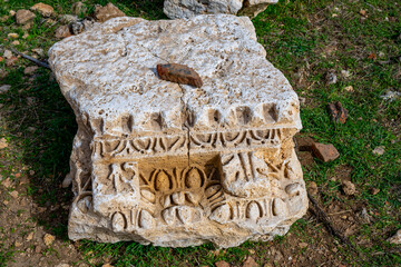 Fototapete bei efototapeten.de bestellen   