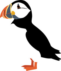 Obraz premium Clean Simple Style Atlantic Puffin Bird Illustration Graphic Design Icon