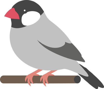 Minimalist Graphic Java Sparrow Bird Perched on a Branch Illustration