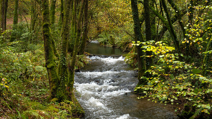 Gandarás River and Batan