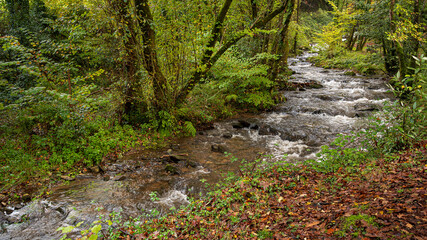 Gandarás River and Batan