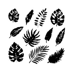 Set of black tropical leaves isolated on in grunge style