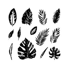 Collection of black tropical leaves isolated on in grunge style