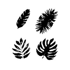 Black grunge tropical leaves collection isolated on vector