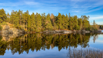 Beautiful view of the lake shore in autumn. Tranquil autumn lake landscape with perfect tree reflections. Amazing view of a sunlit autumn coniferous forest  trees reflecting on the calm lake surface. 