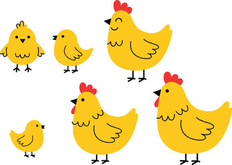 Cute Cartoon Chicken Family Vector Illustration Set with Adult Hens and Small Baby Chicks Isolated on a White Background for Farm Graphics