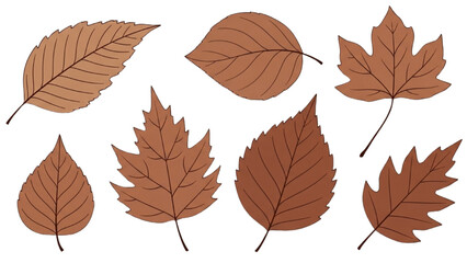 Obraz premium Various brown autumnal leaves illustration isolated on a white background for design