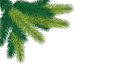 Obraz premium Vibrant evergreen pine branches with fresh needles, perfect for festive winter season designs and holiday greeting cards and banners