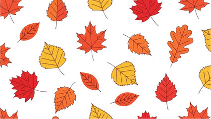 Obraz premium Colorful Autumn Leaf Pattern on White Background for Fall Season Designs