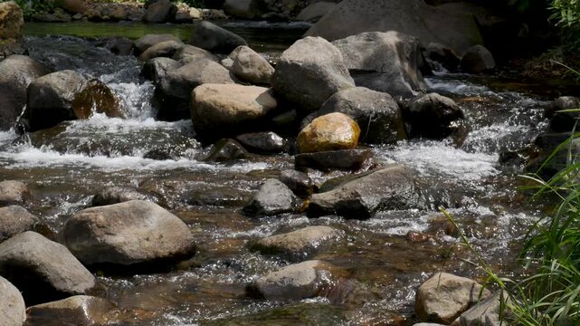 Looping shot of clear mountain water running between colorful stones. Ideal for seamless backgrounds, ambience loops, meditation visuals, and nature B-roll