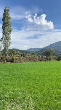 Landscape field with blue sky and clouds