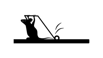 What Doesn't Kill You Makes You Stronger