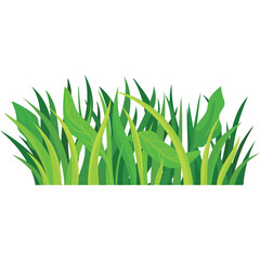 Lush Green Grass Patch With Various Leaf Shapes And Vibrant Shades Of Green On A Transparent Background Detailed Pixel Art Style