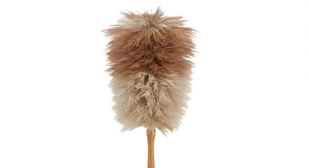 A close up of a feather duster with a wooden handle against a dark black background in a studio shot