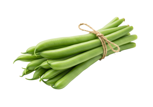 Isolated bundle of fresh green beans tied with twine, ready to cook, healthy eating