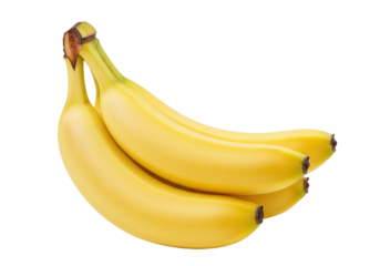 Isolated Bunch of fresh bright yellow bananas, healthy natural food, tropical fruit snack