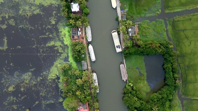 Houseboats on Kerala backwaters, in Kumarakom, water canal's in Alleppey, Kerala, India