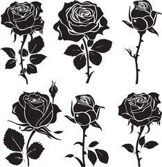 Black and White Rose Silhouette Collection

Elegant Rose Line Art Floral Set

Vintage Rose Silhouette Botanical Illustration