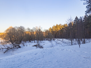 Snowy field with trees in the background