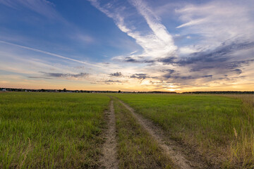 Road cuts through a field of grass