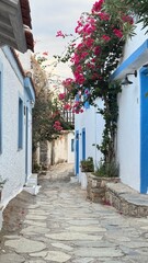 Scenic street in Alonnisos island, Greece, with traditional stone pathways, whitewashed houses, colorful wooden doors, and blooming bougainvillea. Peaceful Mediterranean atmosphere, narrow alleys with