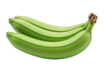 Isolated trio of green unripe bananas, tropical fruit on stem, organic plantain freshness