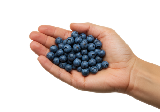 Isolated handful of fresh blueberries resting on a human hand, ready to be eaten, healthy