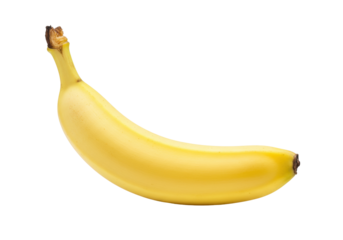Isolated Tropical Banana Fruit Single Yellow Exotic Food Healthy Diet Organic Sweet Treat