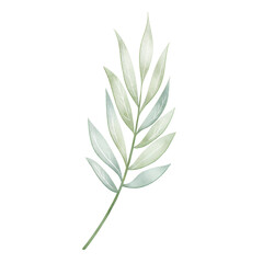 Fototapeta premium Elegant Botanical Leaf Watercolor Illustration, Gentle Green Stem Artwork