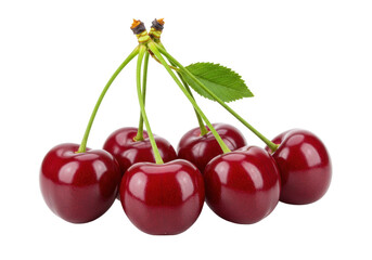 Isolated pile of ripe red cherries with green stems and a single leaf, sweet summer fruit
