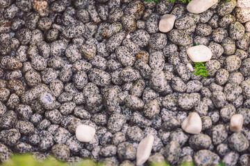 Natural stone-like pebbles on the ground in a serene outdoor setting surrounded by greenery during daylight