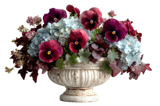 Burgundy pansy flowers, light blue hydrangeas displayed with deep red autumn leaves in classic cream weathered stone urn planter isolated transparent background. PNG