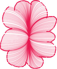 pink flower on a white background