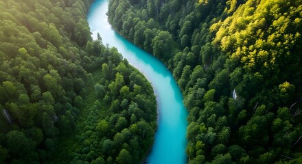 Aerial view of turquoise river flowing through lush green forest