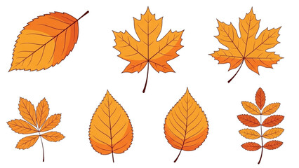 Naklejka premium Collection of Autumn Leaves in Various Shapes and Fall Colors