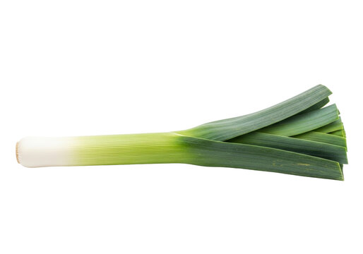 Isolated Leek Vegetable Green Allium Healthy Fresh Cooking Ingredient Food Product