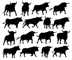 The set silhouettes of big bulls.
