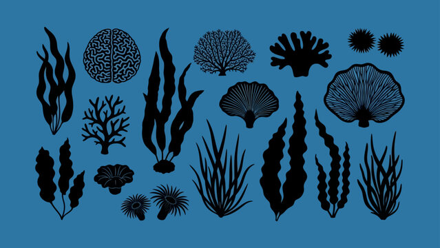 Underwater Flora Silhouette Collection on Blue Background