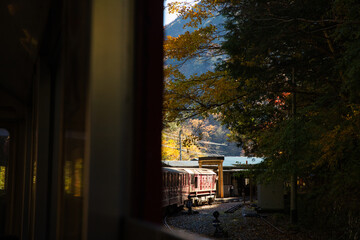 紅葉の大井川鉄道
