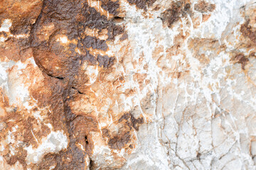 Close-up detailed photo of a light brown stone, featuring white and brown tones. Ideal for a background concept