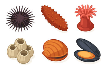 Collection of marine lifeforms: sea urchin, sea cucumber, sea anemone, barnacles, clam, mussel