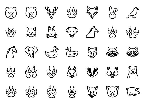 Set of wild and domestic animal line icons, including heads and paw prints. Minimalist vector collection of forest fauna for graphic design, ejrhknoy (57)