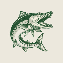 Vintage Barracuda Fish Mascot.Retro Pike Fish Engraving.Aggressive Predator Illustration.Fishing Sport Logo Design.Distressed Vector Marine Art