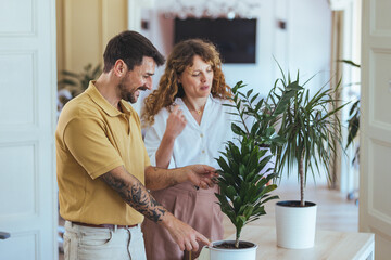 Couple Decorating Living Room With Indoor Plants And Plant Care In Modern Home Setting