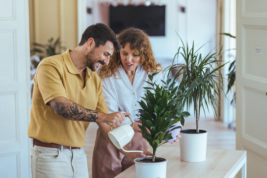 Happy Couple Watering Indoor Plants Together in Bright Home Interior - Powered by Adobe