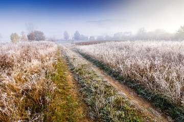 Naklejka premium autumn landscape with dirt road through rural field in hoarfrost and morning fog. beautiful view of a countryside in carpathian mountains of ukraine. frosty weather. abandoned area needs investment