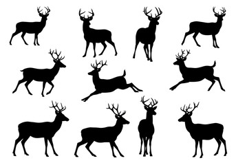 Silhouette Collection of Majestic Deer Stags in Various Poses for Design Projects