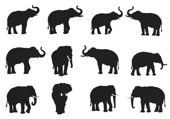 Majestic Elephant Silhouettes A Collection of Wildlife Art